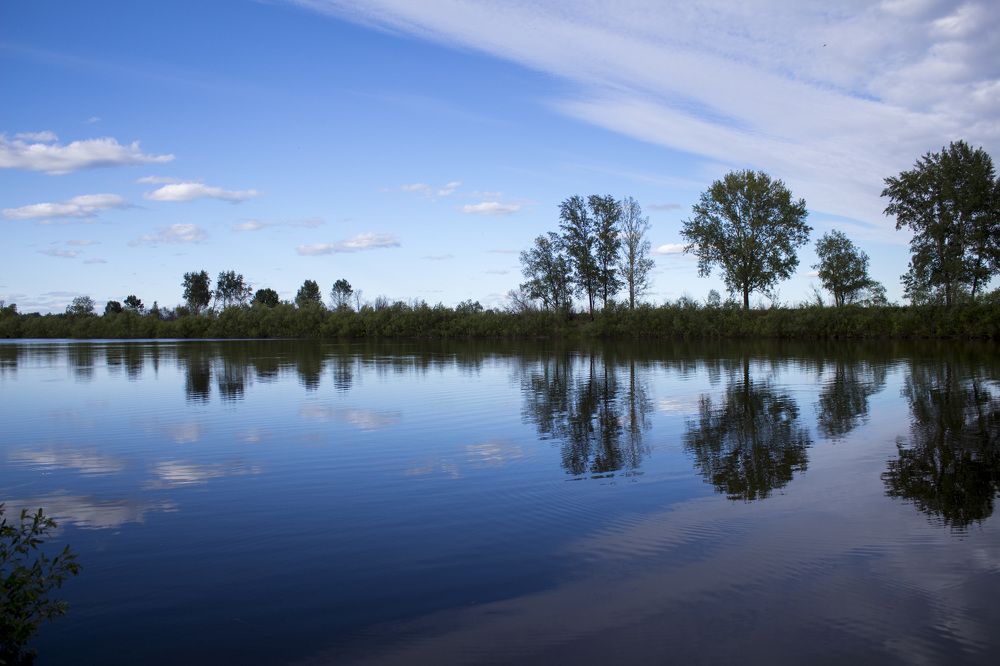 Photograph by Андрей Анкудинов