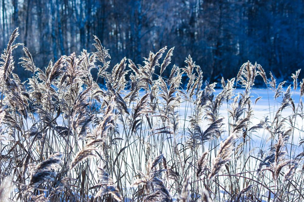 Photograph by Елена Верховская