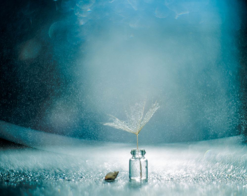 Photograph by Наталья Лещинская