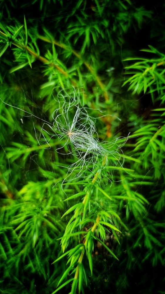 Photograph by Наталья Рау