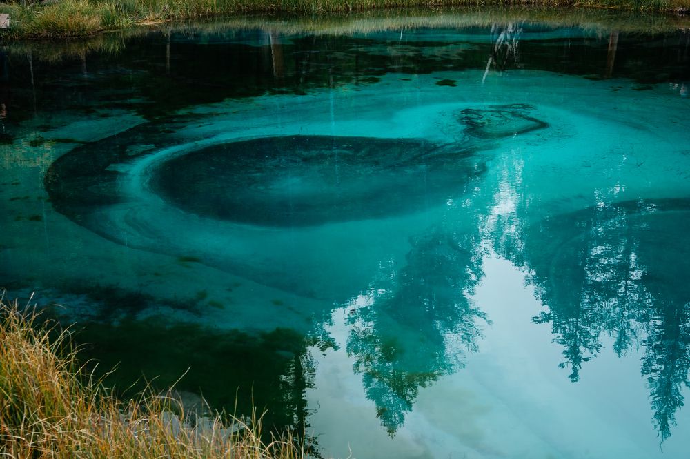 Photograph by Ирина Ладо