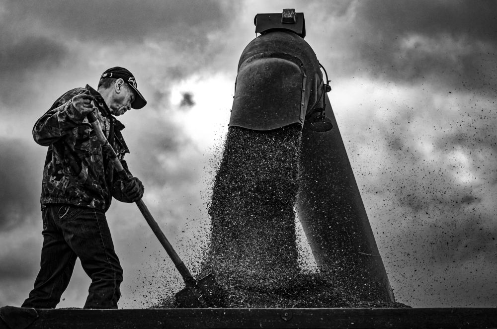 Photograph by Владимир Зайцев