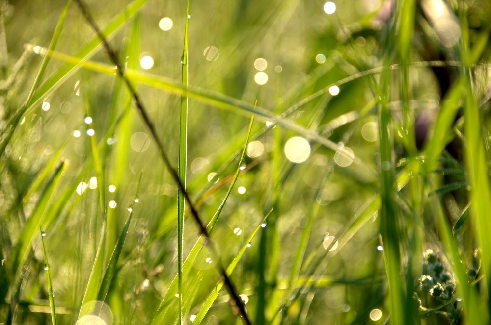 Photograph by Александр