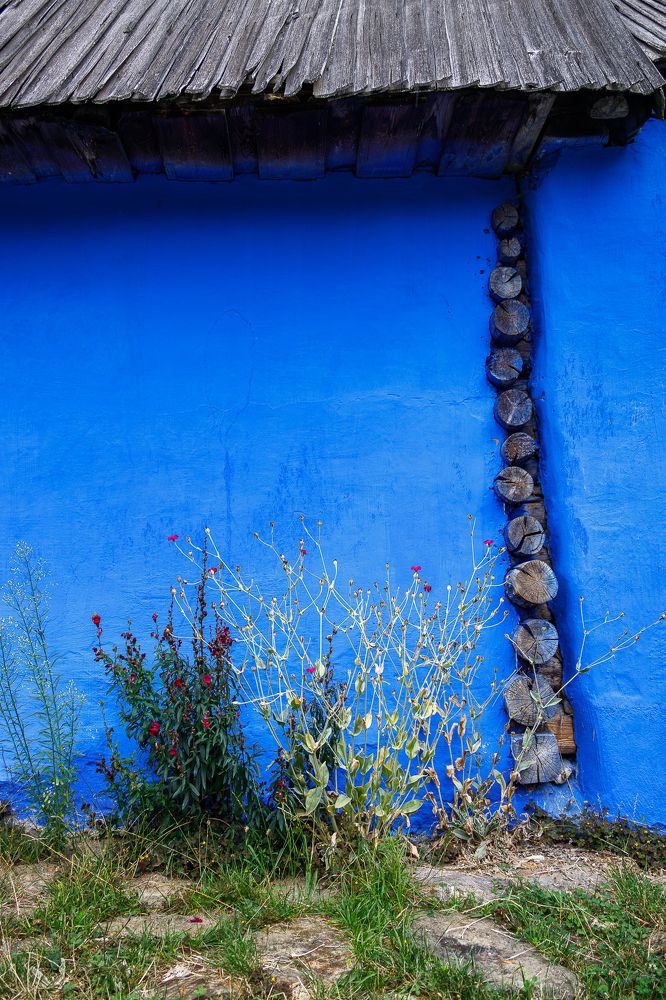 Фотография автора Cornelia Ghergut