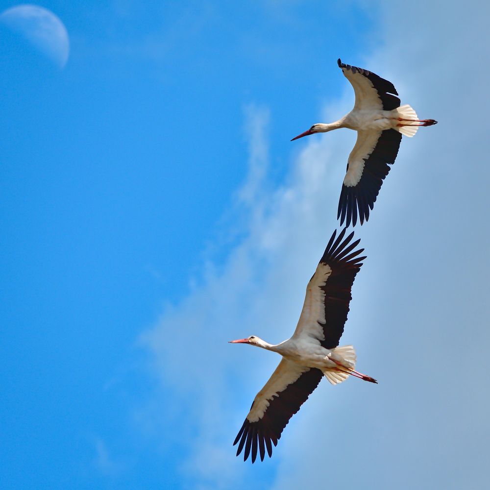 Photograph by Albina Kulikova