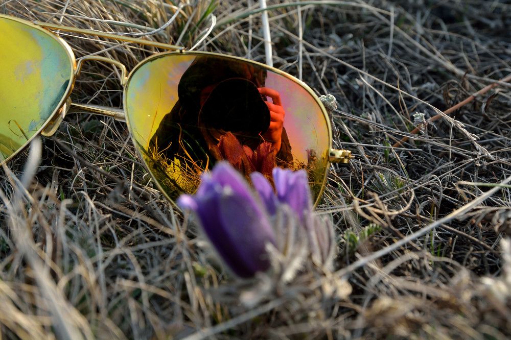 Photograph by Алексей Митрофанов