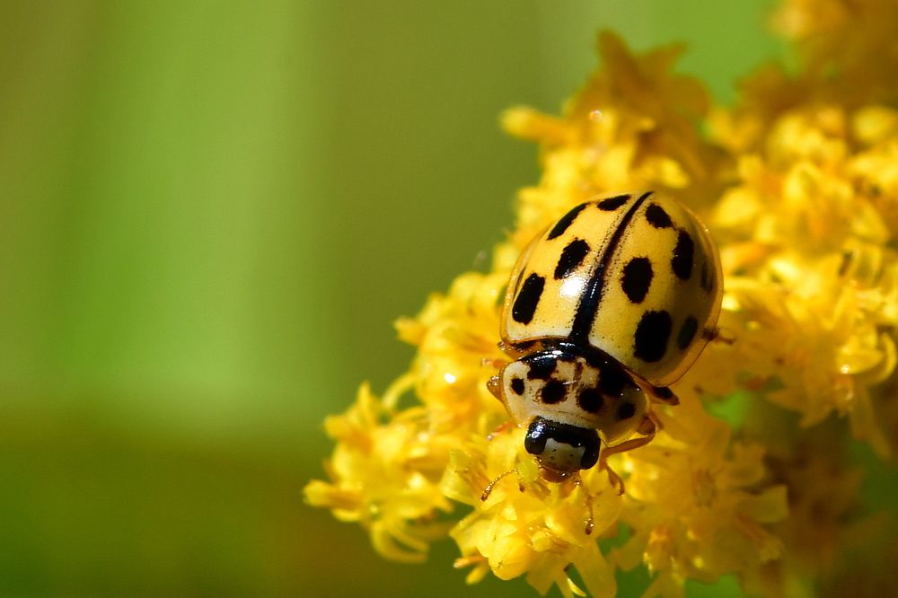 Photograph by Корнейчук Игорь