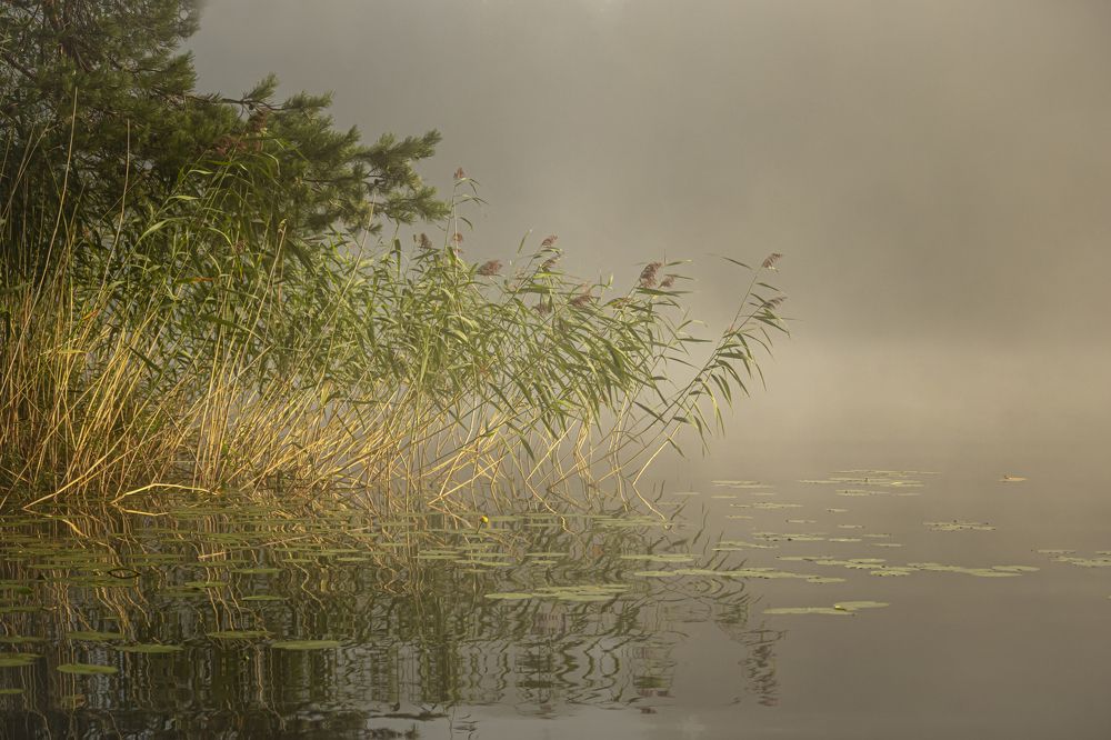 Photograph by Юлия Куликова