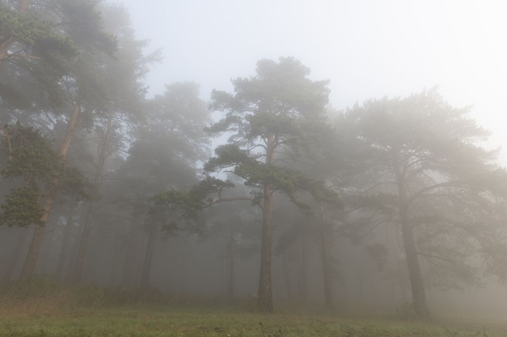 Photograph by Сергей Шерстнев