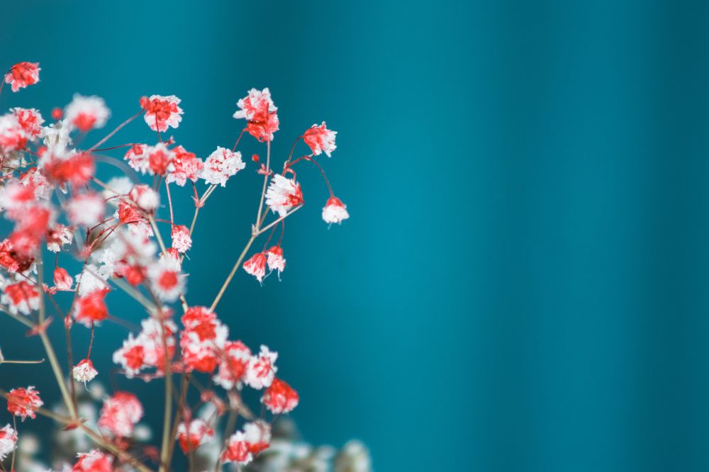 Photograph by Никита Павлов