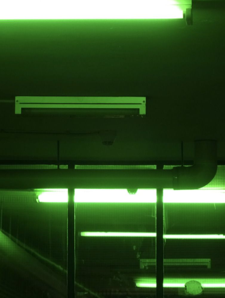 Photograph by Sona Sahakian