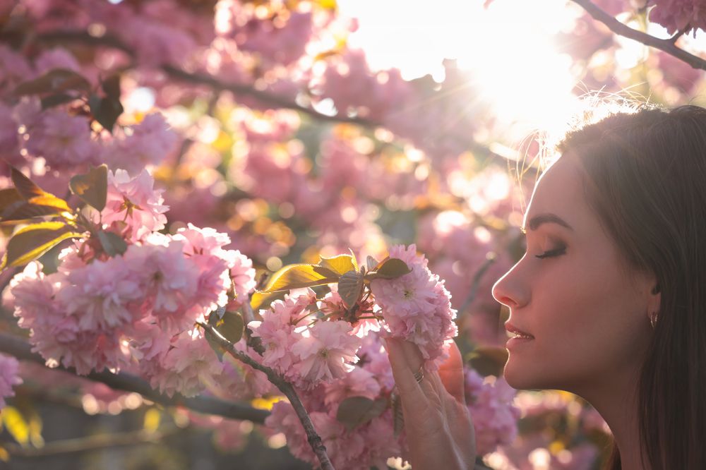 Photograph by Анастасия Петренко