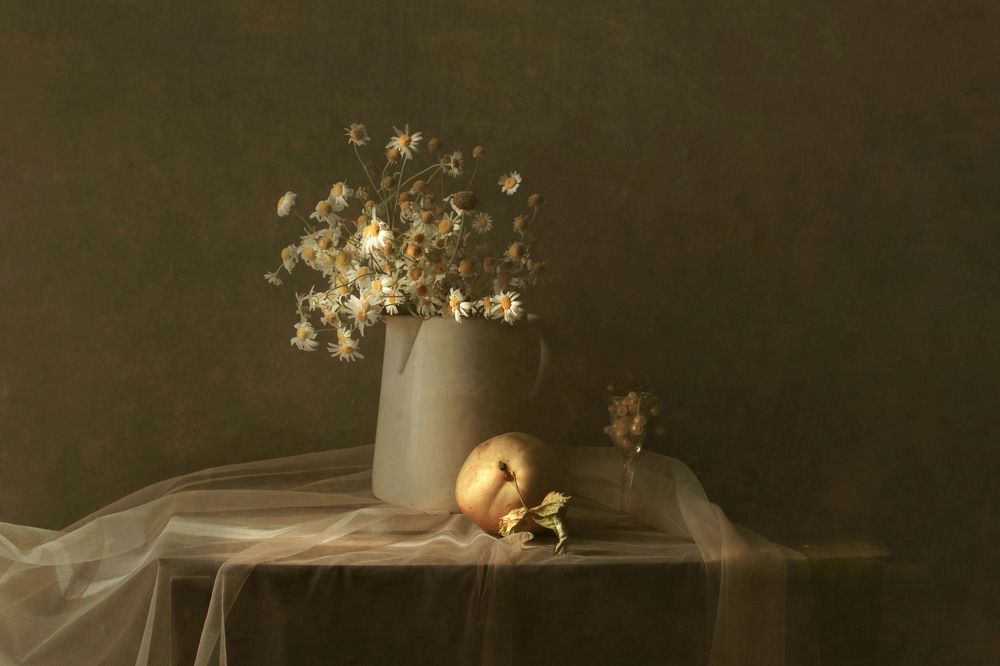 Фотография автора Коршак Елена