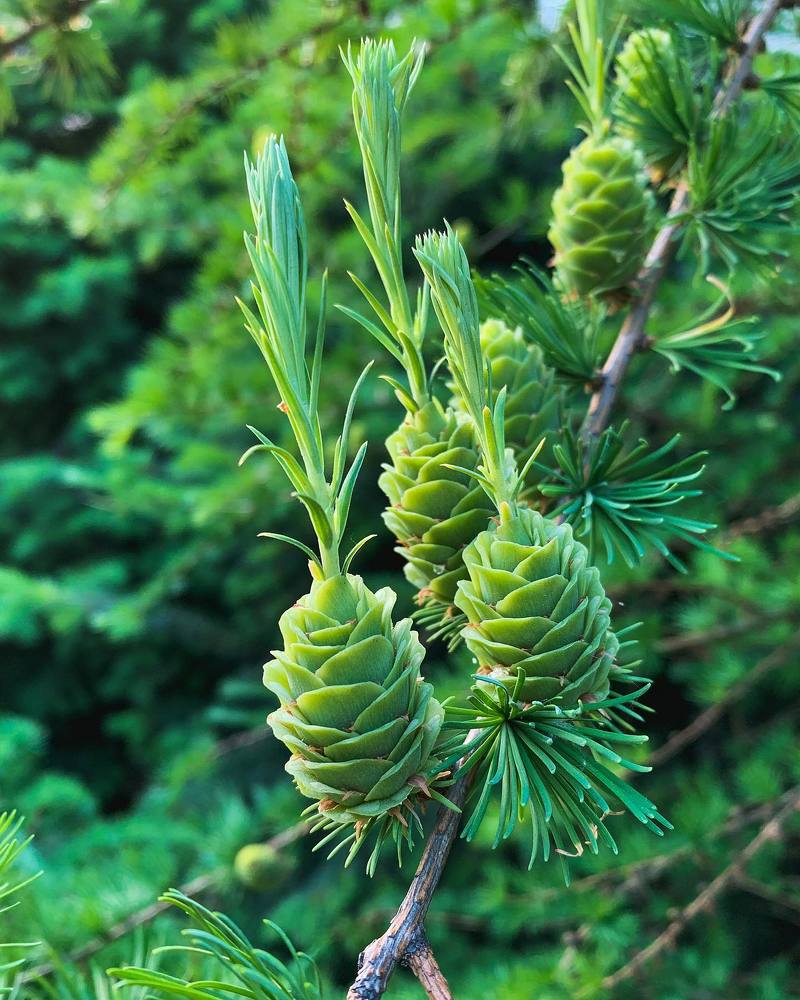 Photograph by Ксения Макарова