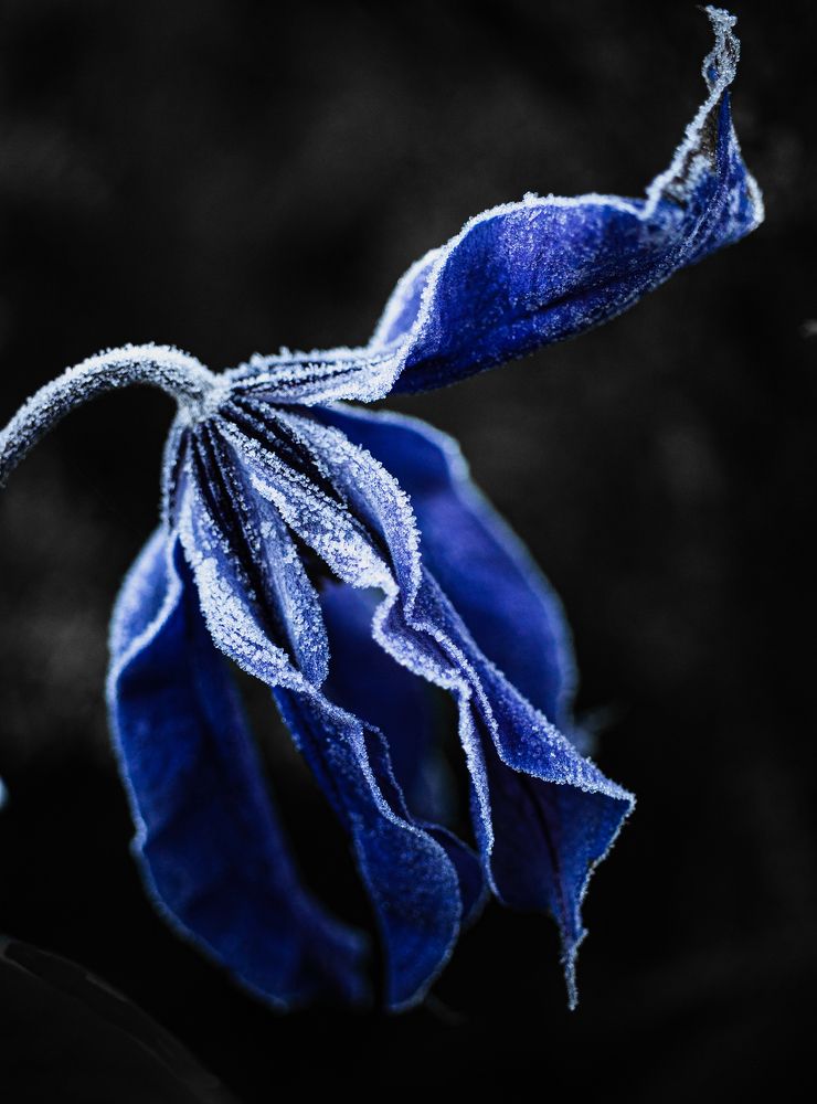 Photograph by Евгения Гудкова