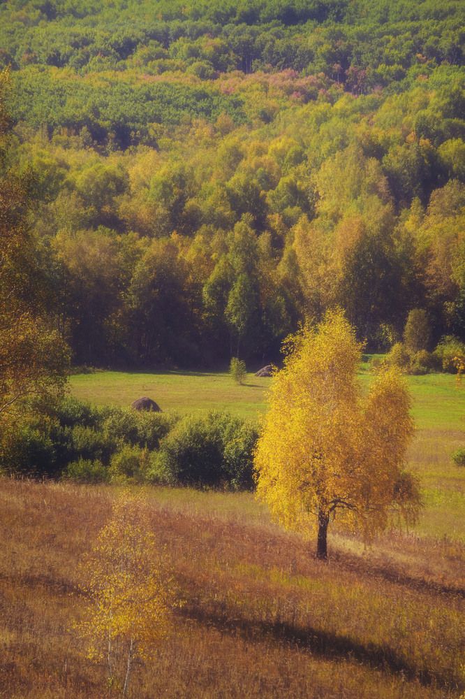 Photograph by Юлия Лушникова