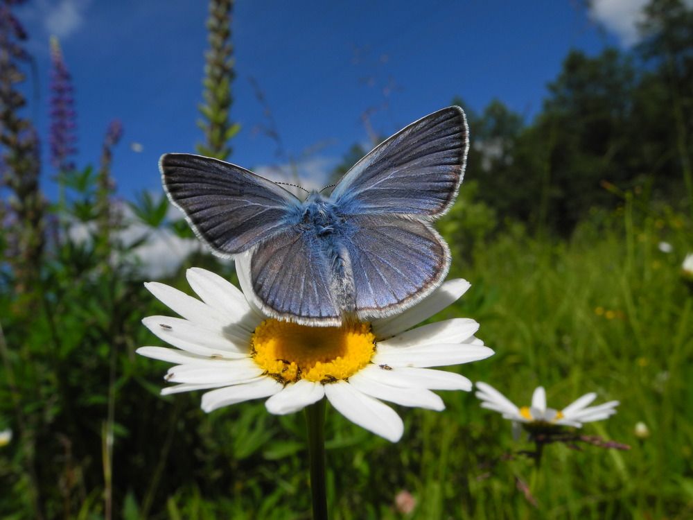 Photograph by Андрей Головин