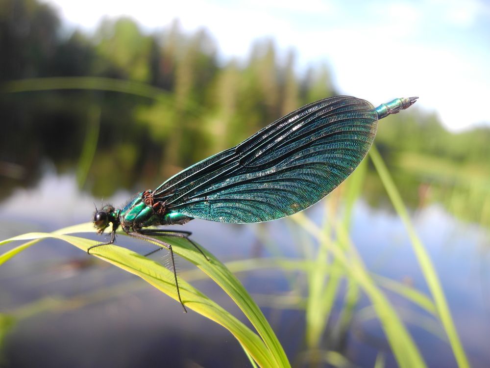 Photograph by Андрей Головин