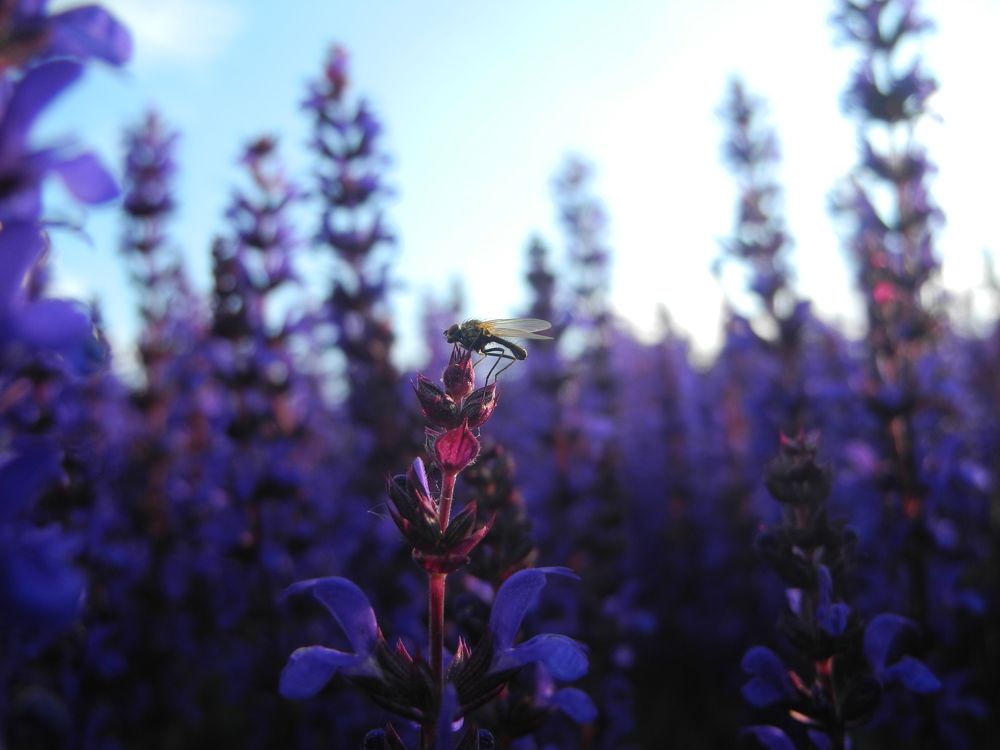 Photograph by Андрей Головин