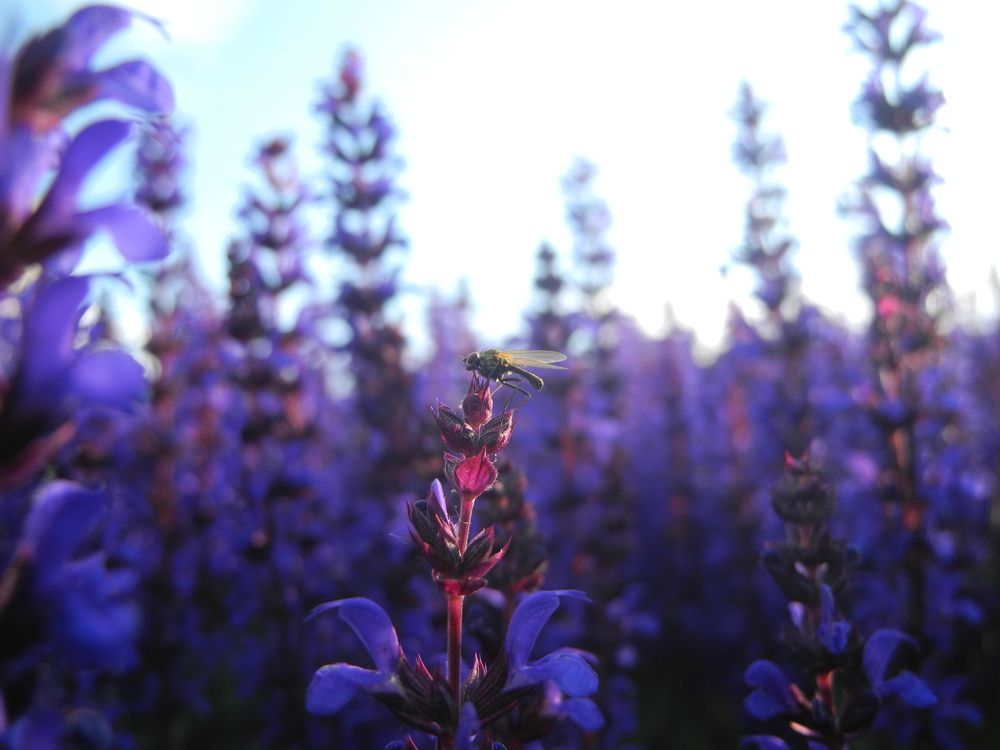 Photograph by Андрей Головин