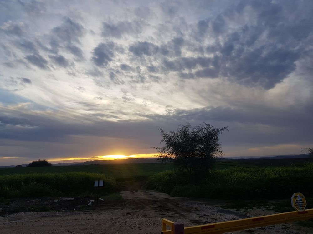 Photograph by Merav Zuberman Perkal