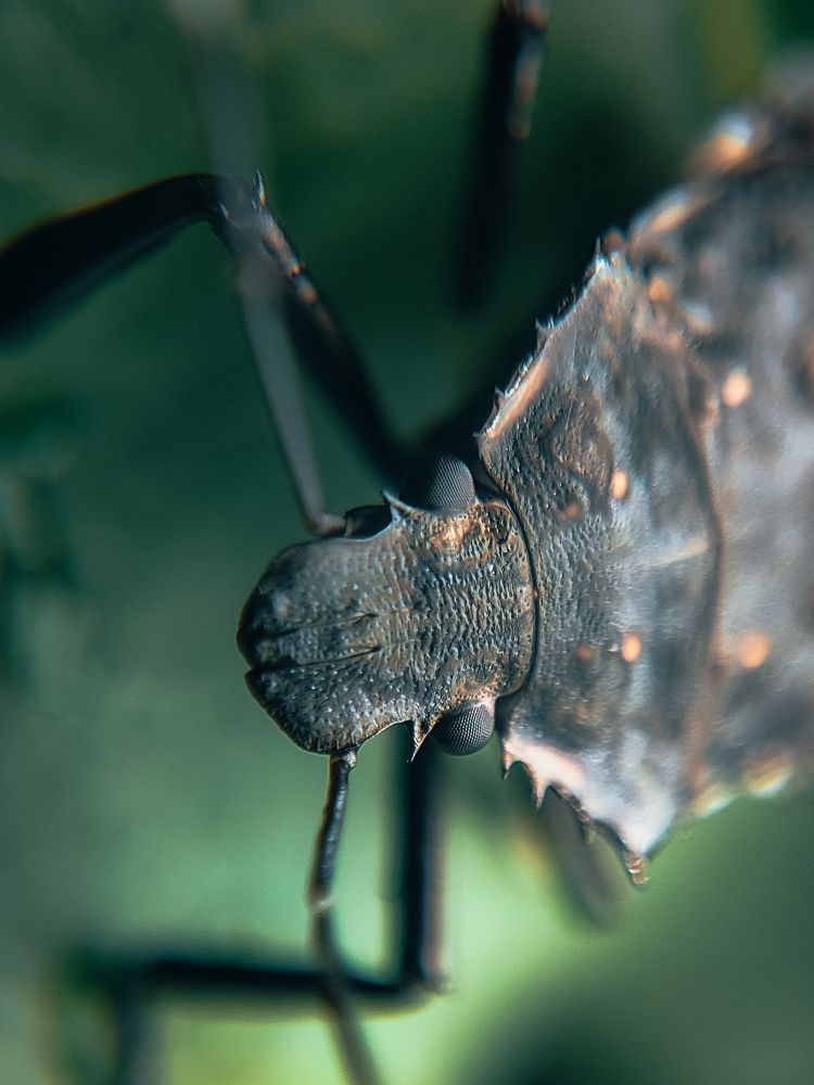 Photograph by Venkatesh r Kamath