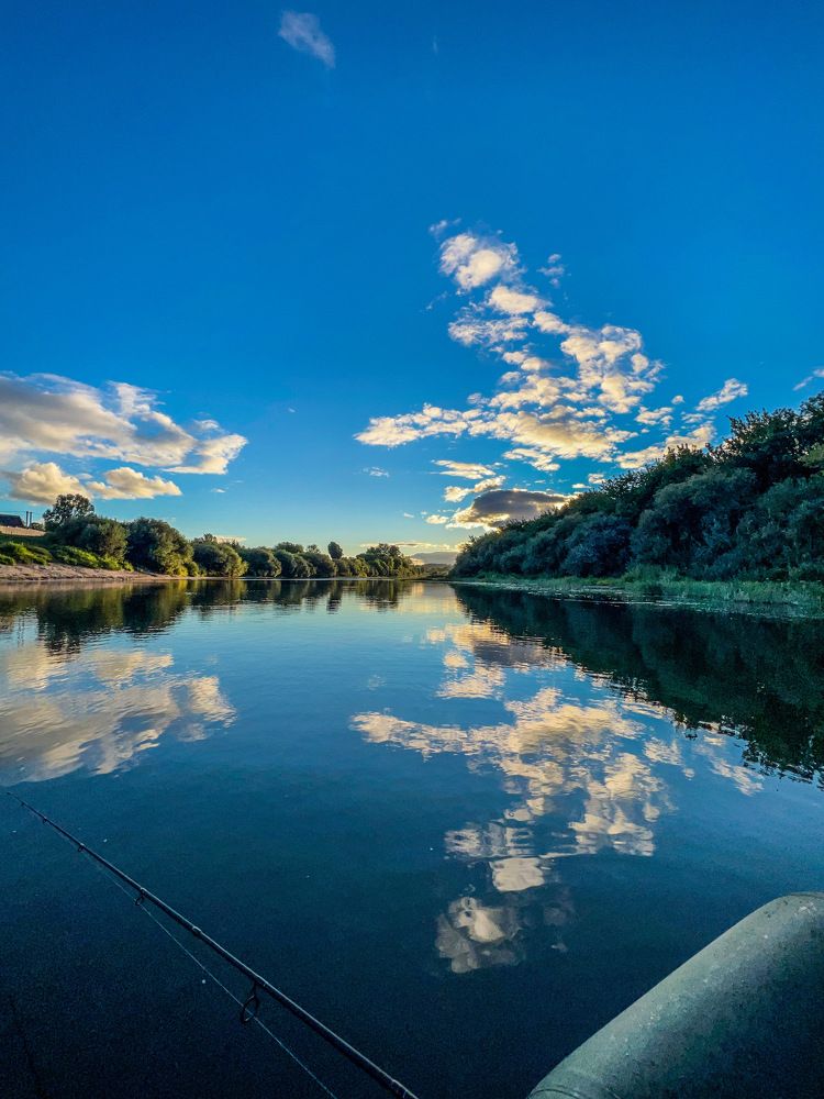 Photograph by Алексей Большаков