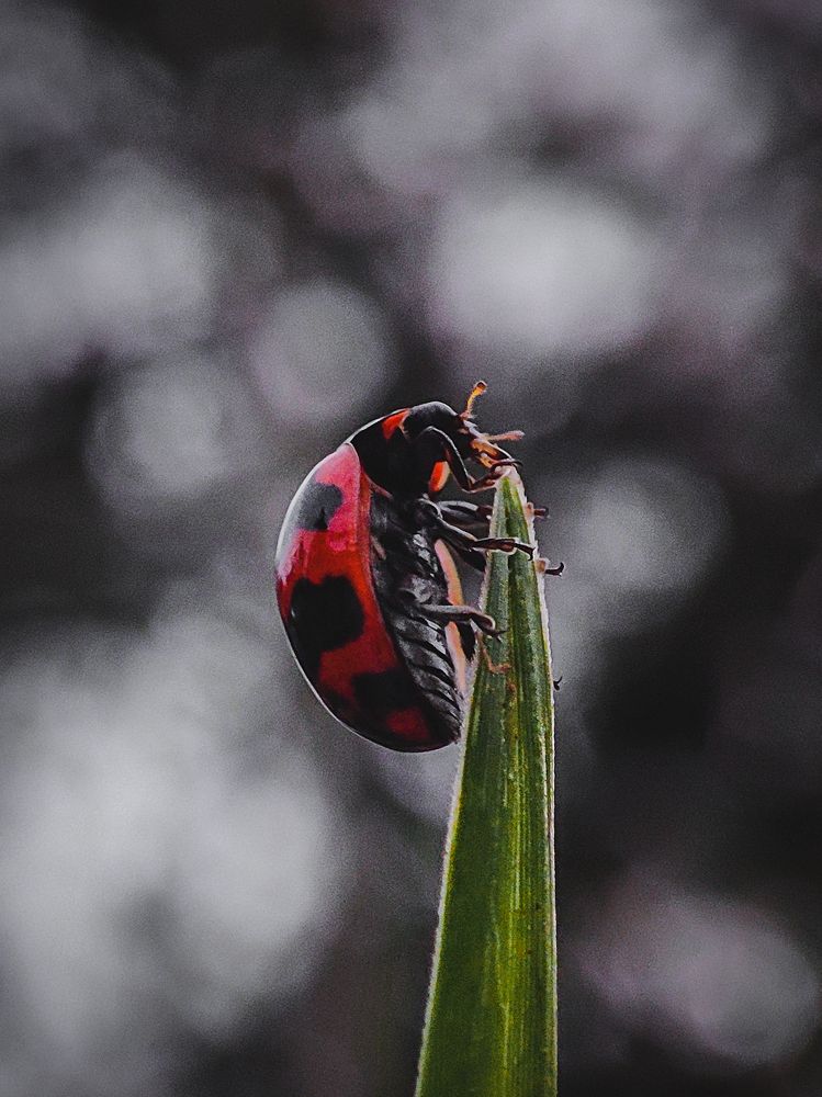 Photograph by Venkatesh r Kamath