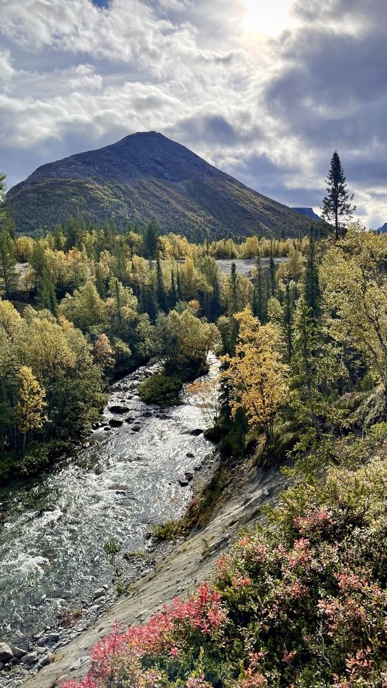Фотография автора Юлия Шумейко