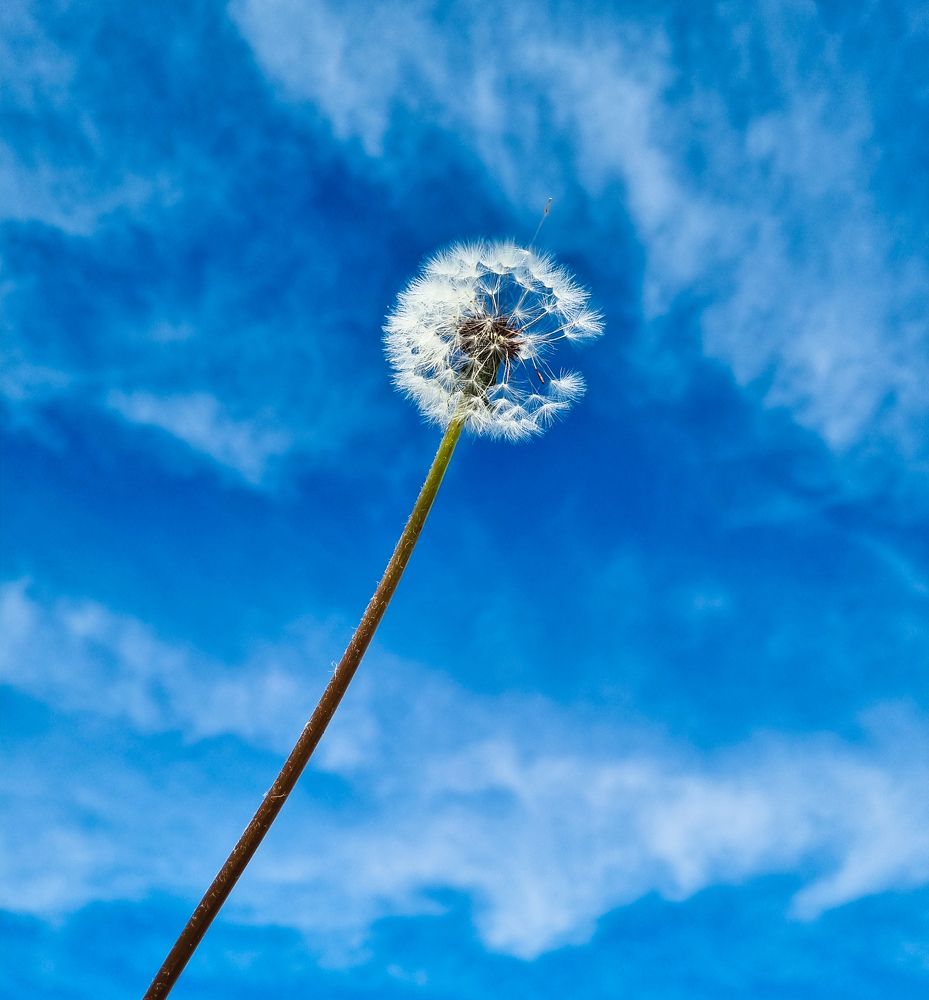 Photograph by Ирина Герлин