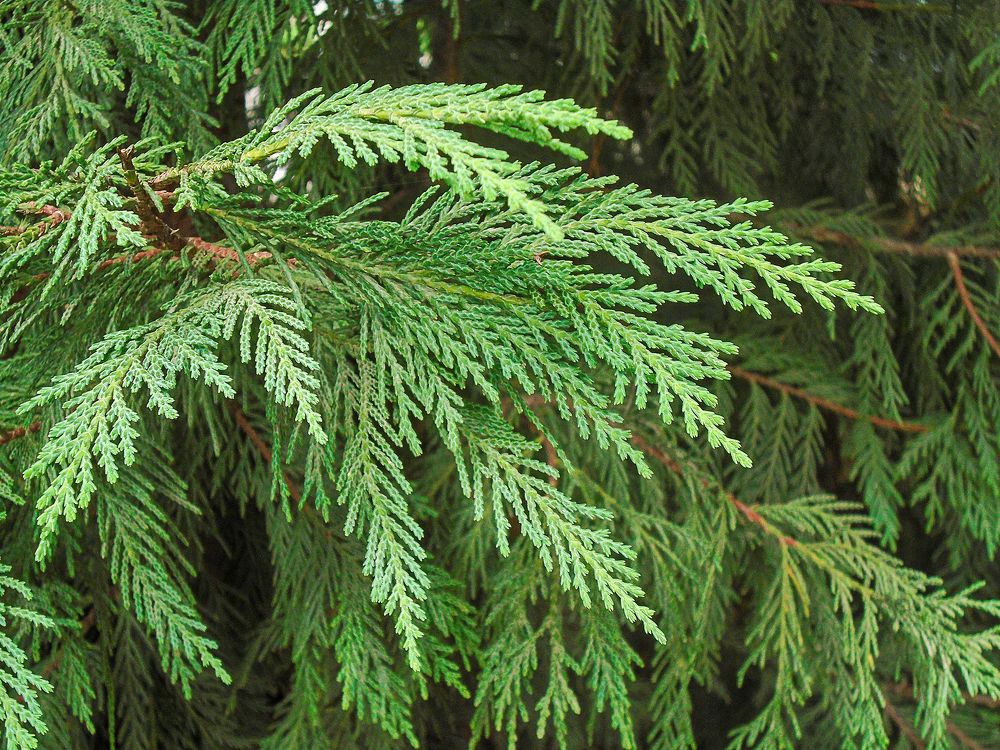 Photograph by Владимир Осипов