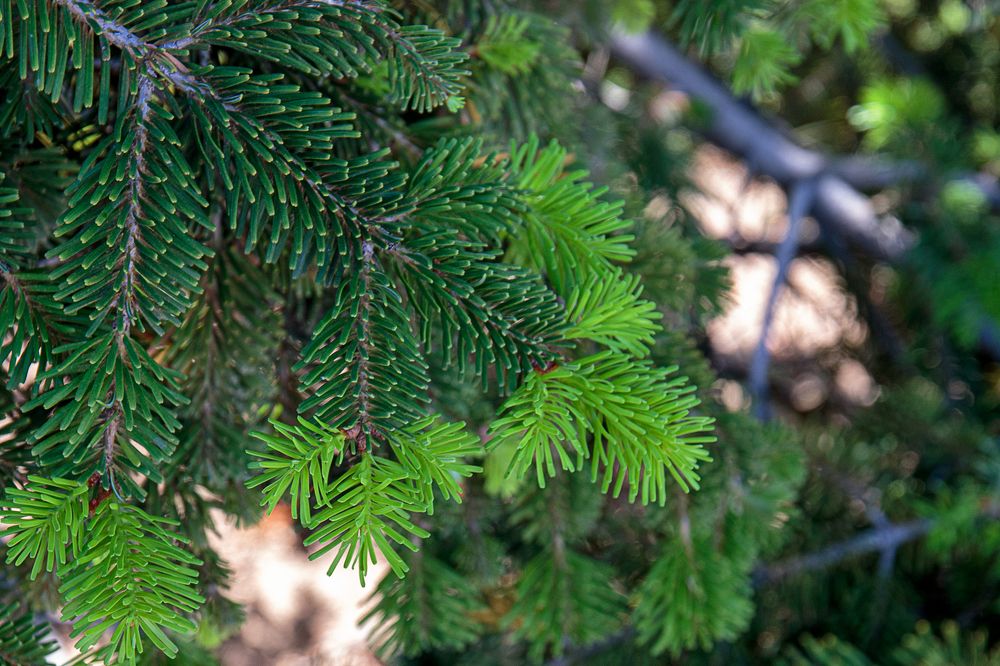 Photograph by Владимир Осипов