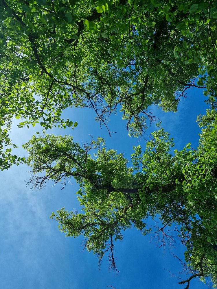 Photograph by Ирина Герлин