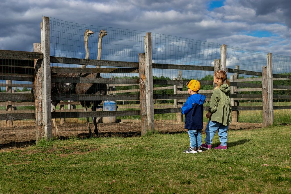 Photograph by Алена Ситникова