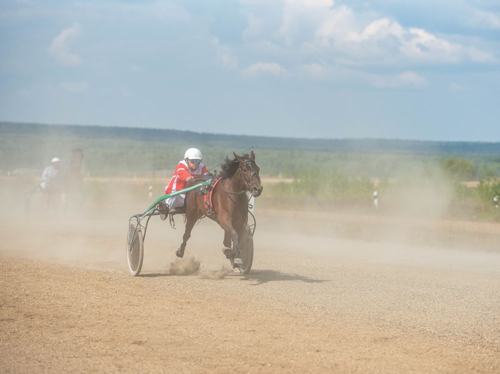 Фотография автора Сергей Чесноков