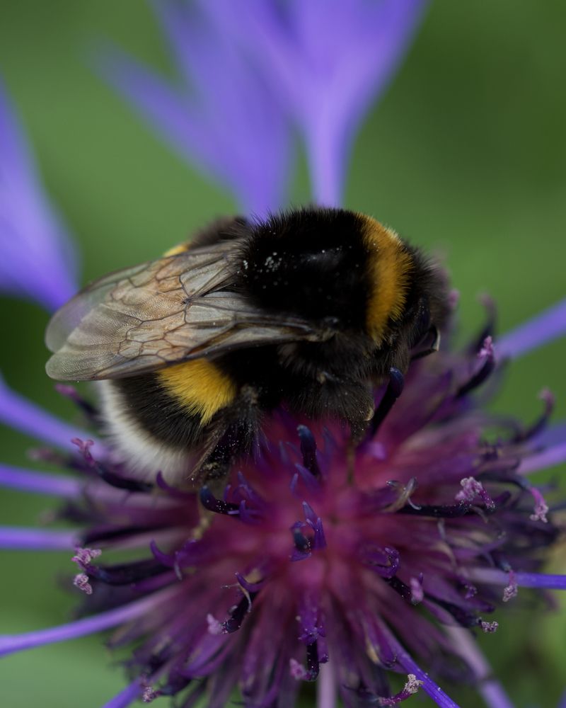 Photograph by Серегина Ирина