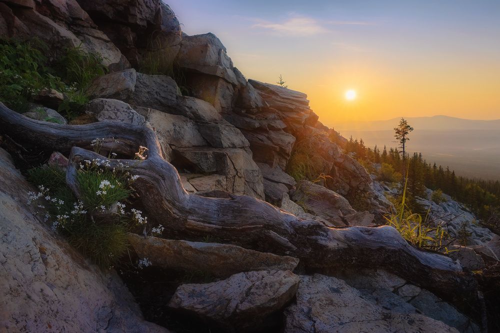 Photograph by Сергей Межин