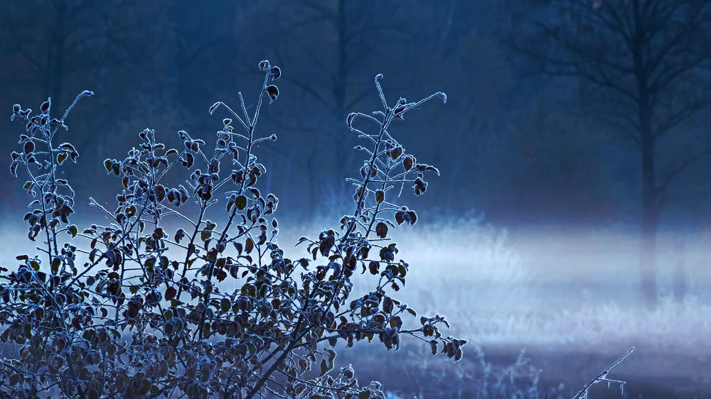 Photograph by Сергей Кочетов