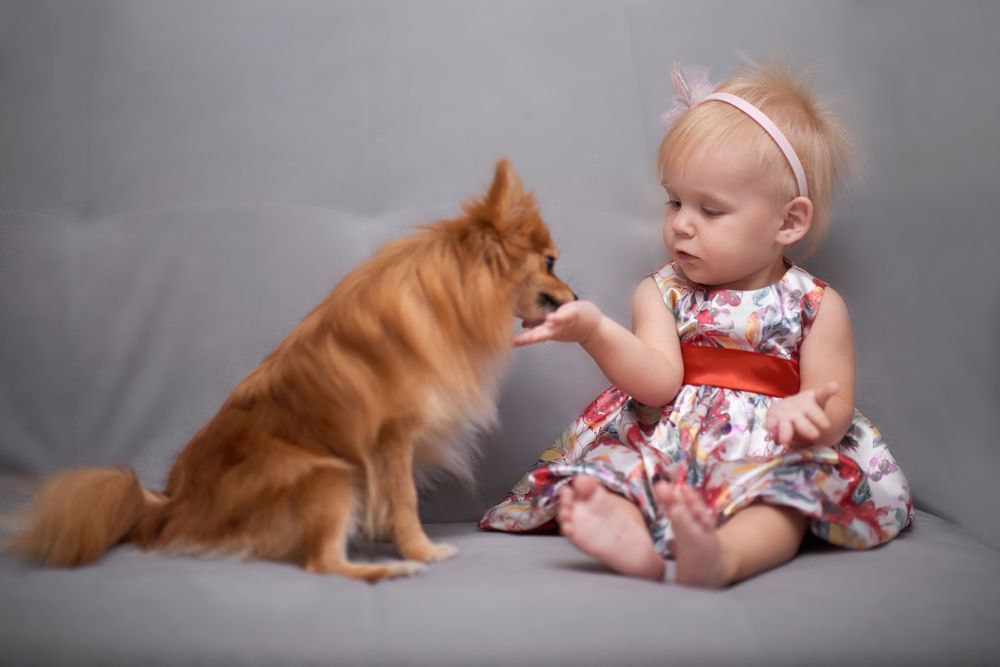 Кто быстрее?