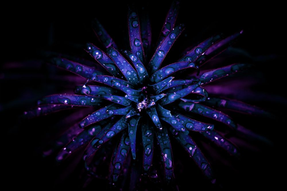 Photograph by Сергей Кочетов