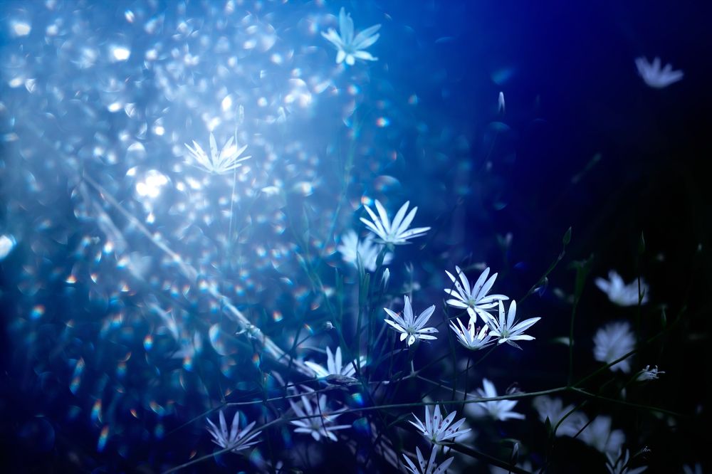 Photograph by Сергей Кочетов