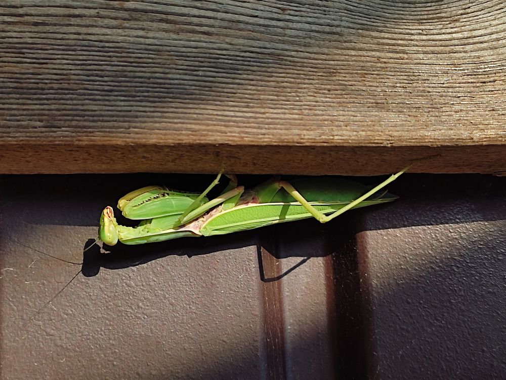 Photograph by Farkhad