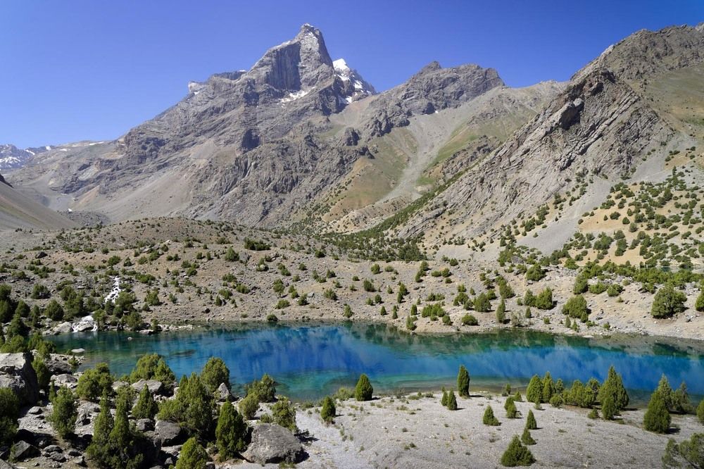 Фотография автора Татьяна Добровольская
