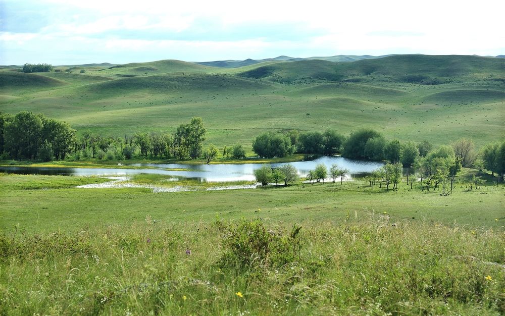 Photograph by Сергей Жданов