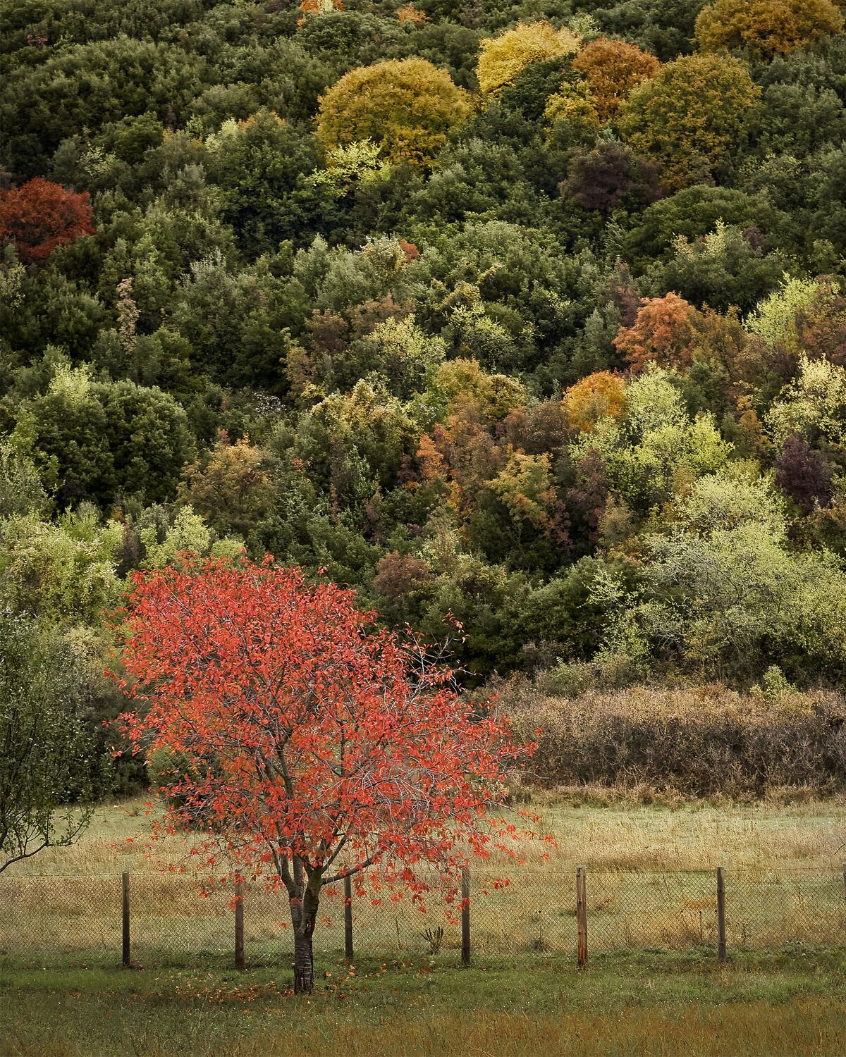 Photo #8032694