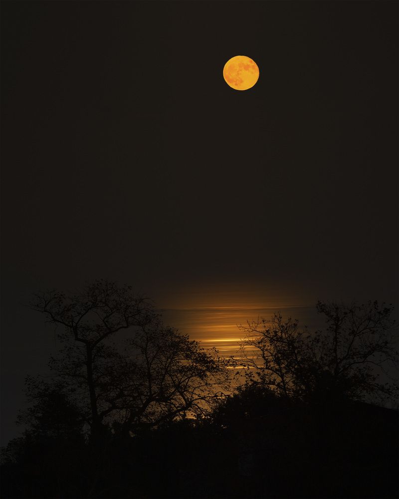 Photograph by Alexander Kazakov
