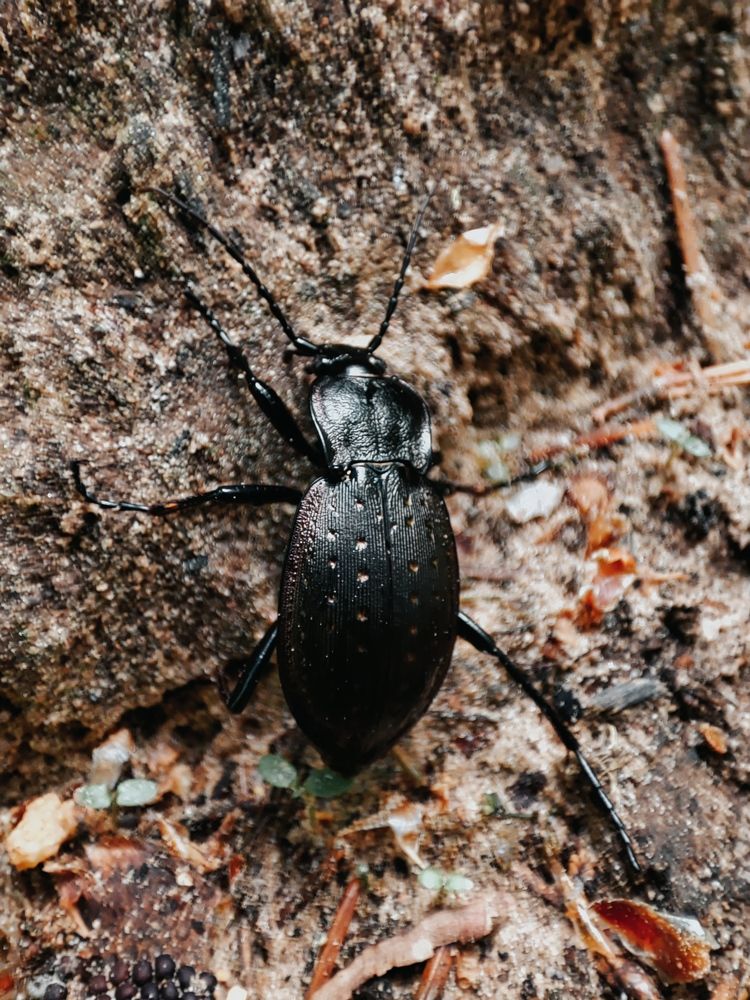 Фотография автора Ирина