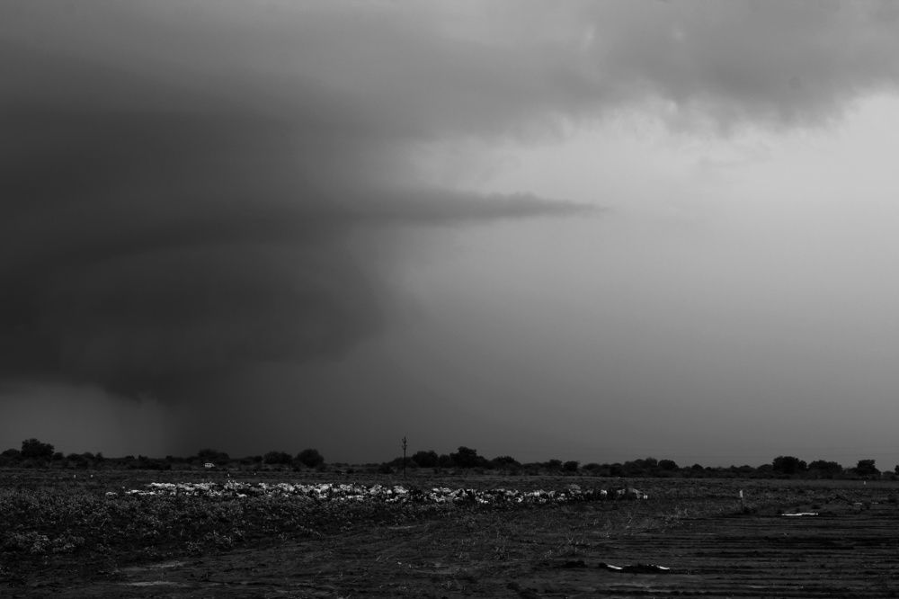 Photograph by Ganesh Pandian