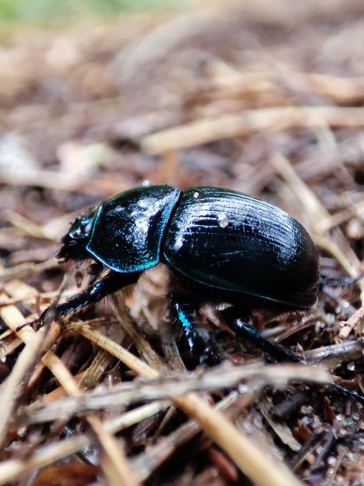 Фотография автора Ирина