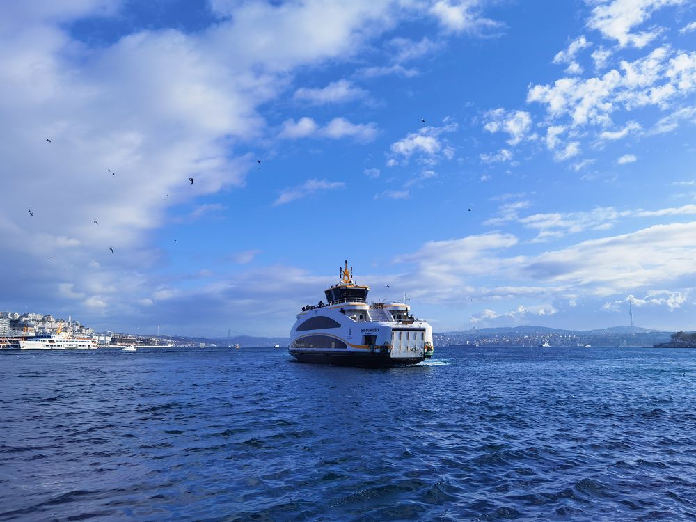 Photograph by Michael Deligan